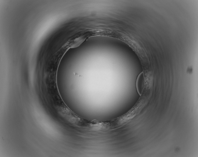 X0000097650430200802291454