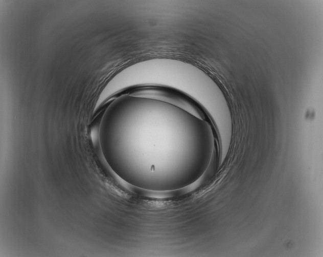 X0000097650432200802291454