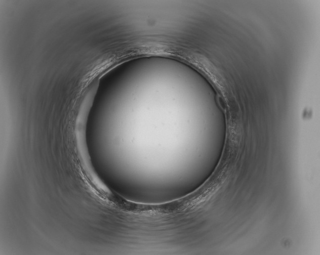 X0000097650433200802291454