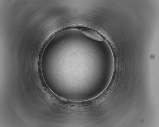 X0000097650434200802291454