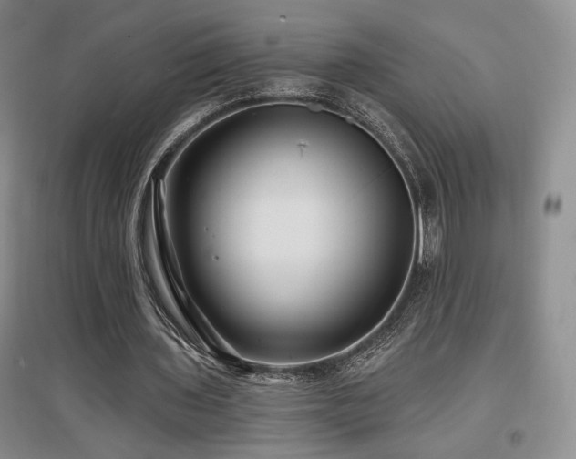 X0000097650435200802291454