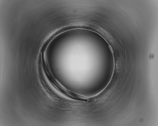 X0000097650436200802291454