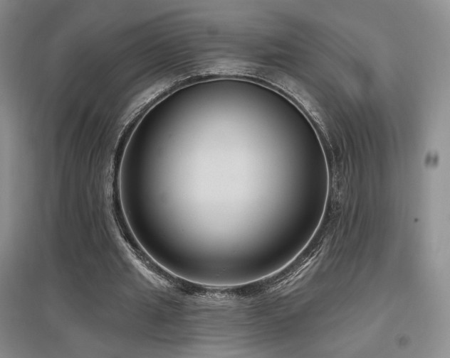 X0000097650437200802291454