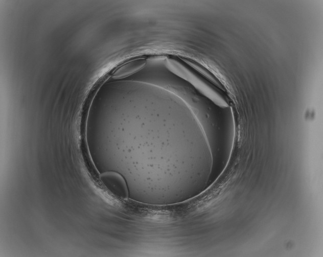 X0000097650438200802291454