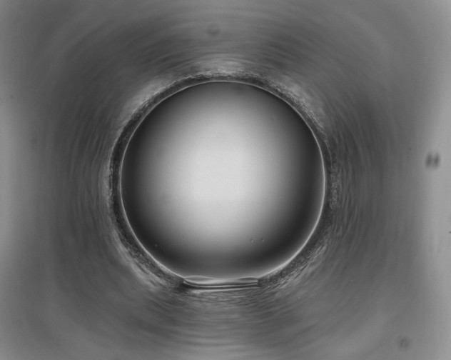 X0000097650439200802291454