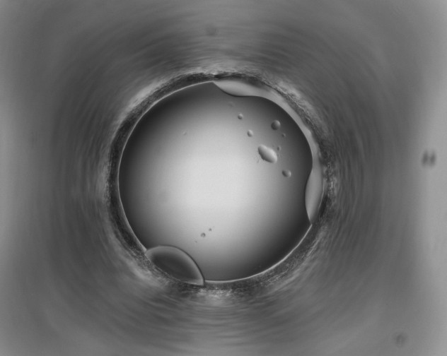 X0000097650440200802291454