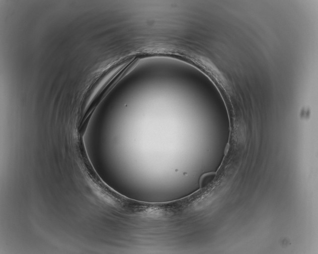 X0000097650441200802291454