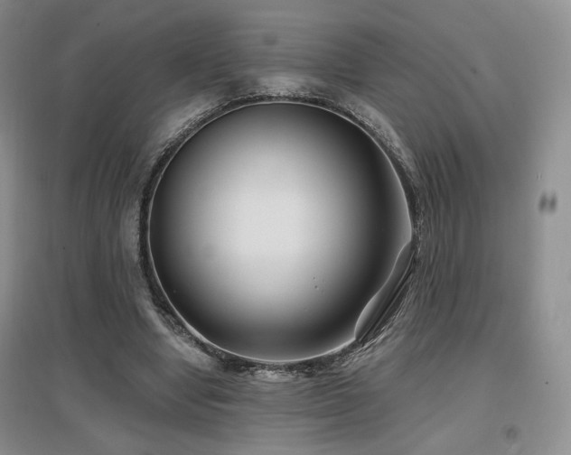 X0000097650442200802291454