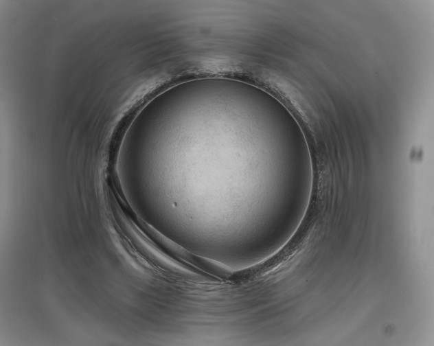 X0000097650443200802291454