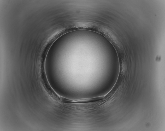 X0000097650444200802291454