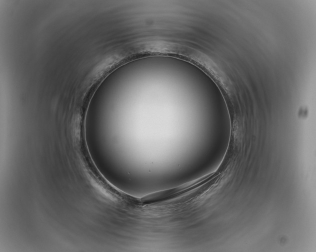 X0000097650445200802291454