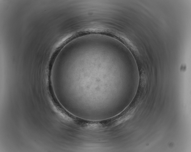 X0000097650446200802291454