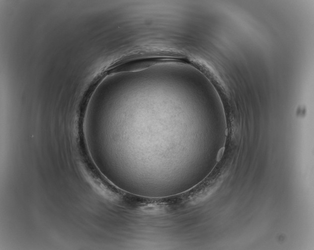 X0000097650447200802291454