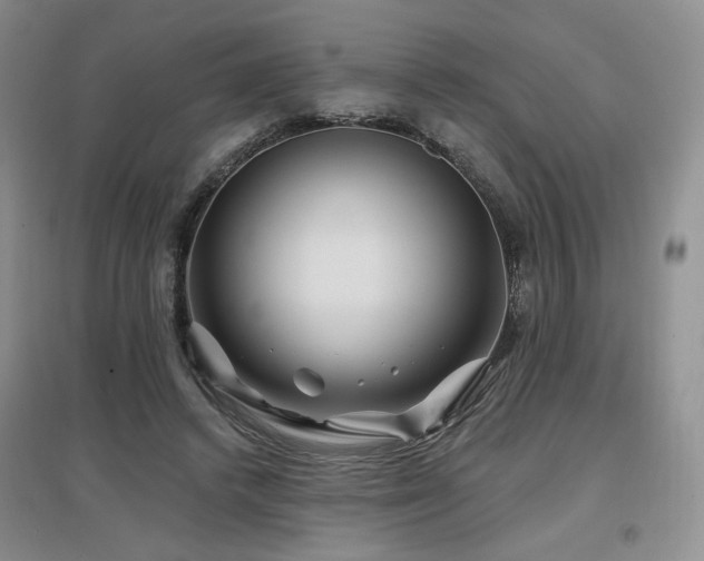 X0000097650448200802291454