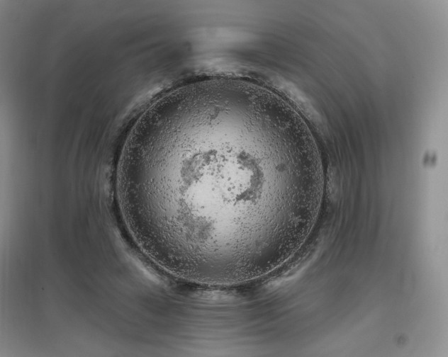 X0000097650449200802291454