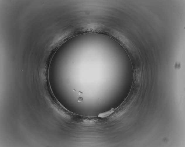 X0000097650450200802291454