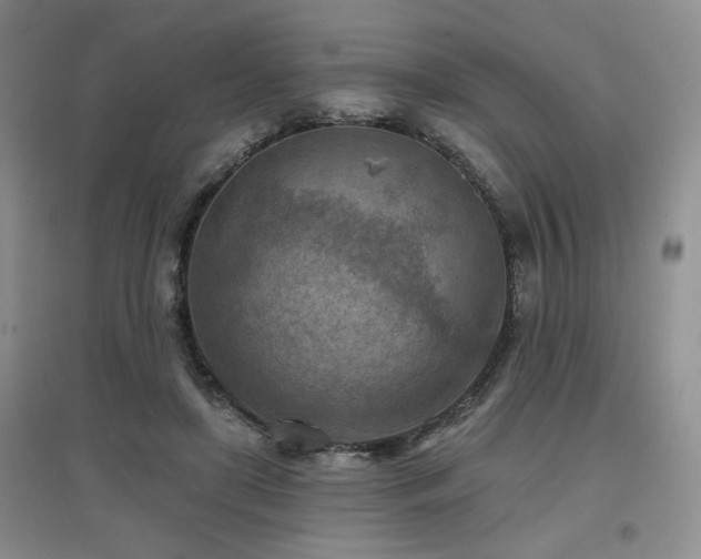 X0000097650451200802291454