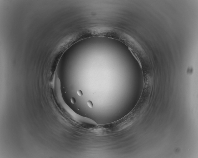 X0000097650452200802291454