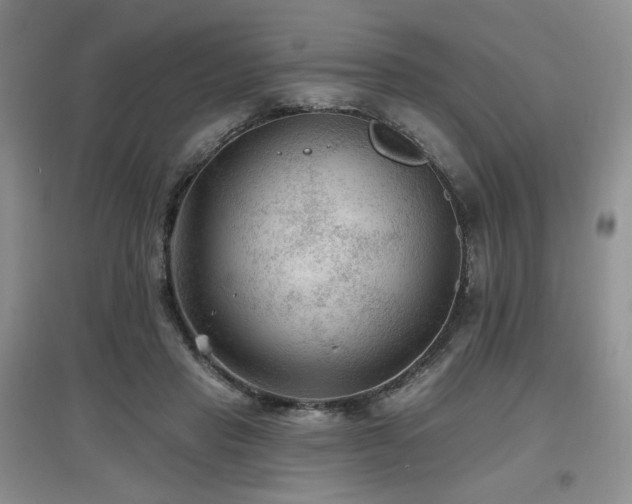 X0000097650453200802291454