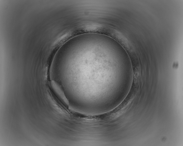 X0000097650454200802291454