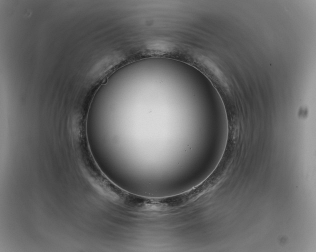 X0000097650455200802291454