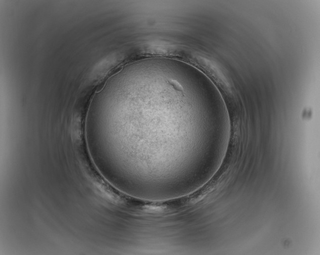 X0000097650457200802291454