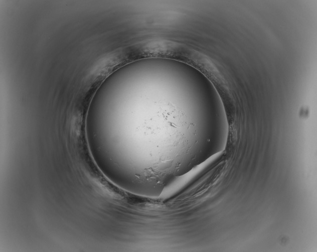 X0000097650458200802291454