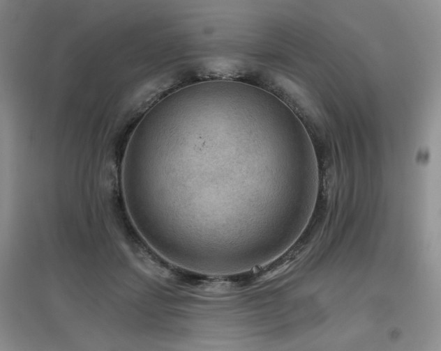 X0000097650459200802291454