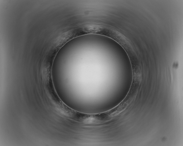 X0000097650460200802291454