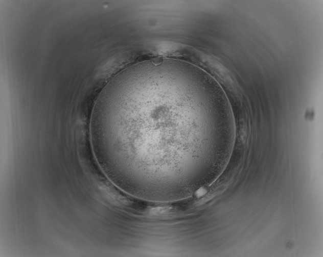 X0000097650461200802291454