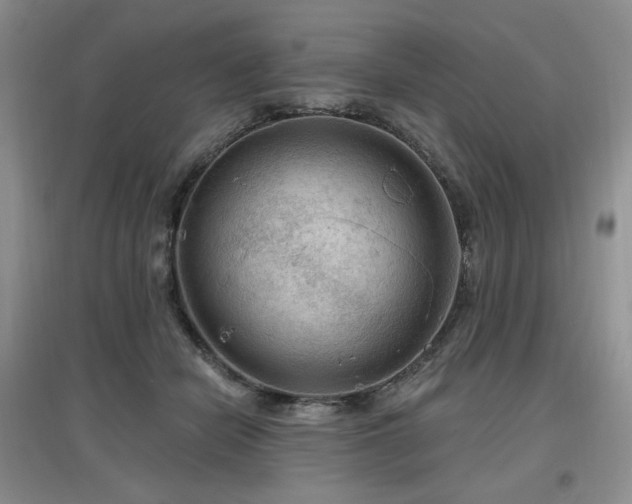 X0000097650462200802291454