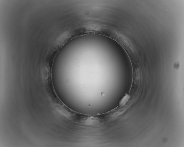 X0000097650463200802291454