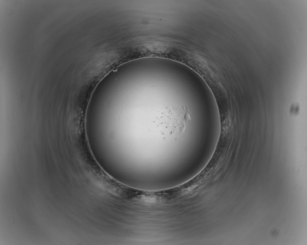 X0000097650464200802291454