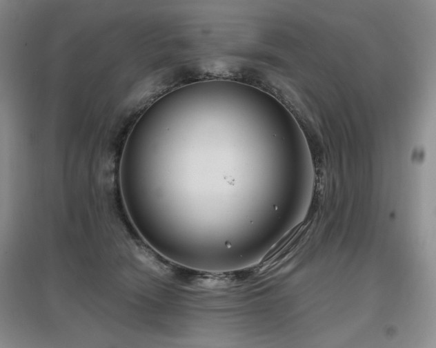 X0000097650466200802291454