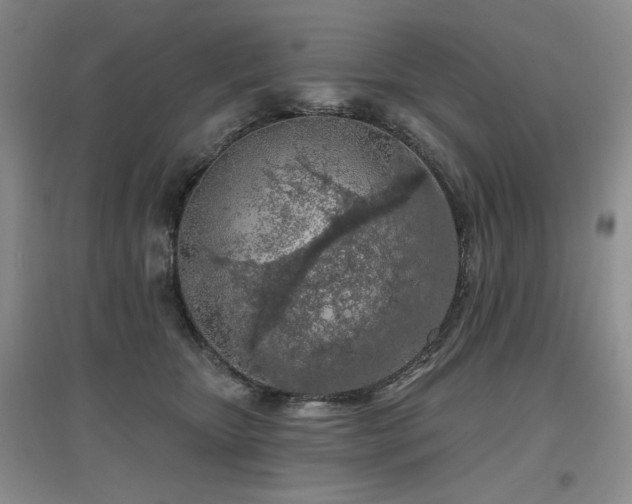 X0000097650467200802291454