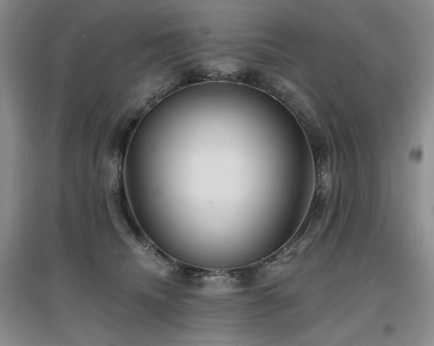 X0000097650468200802291454