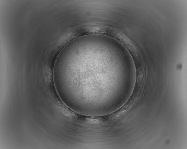 X0000097650469200802291454