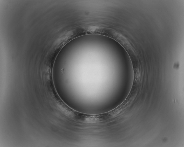 X0000097650470200802291454