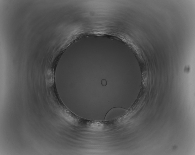 X0000097650471200802291454