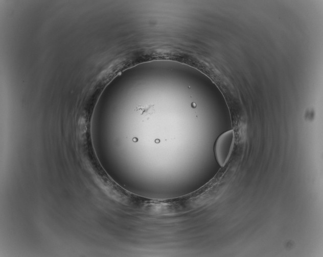 X0000097650472200802291454