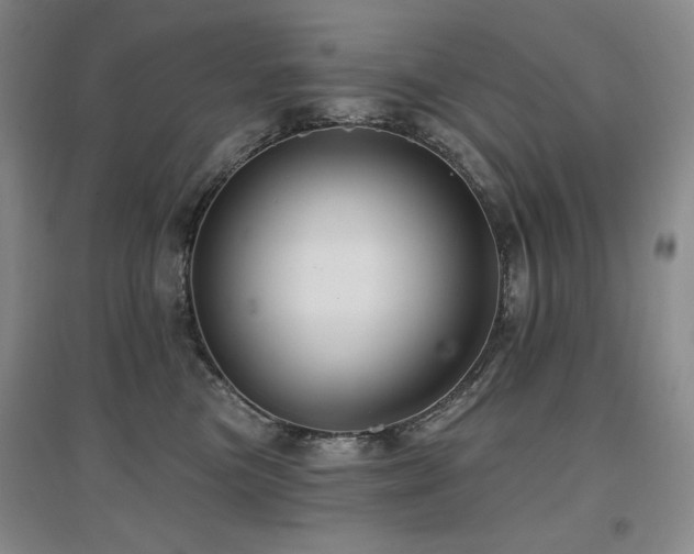 X0000097650473200802291454