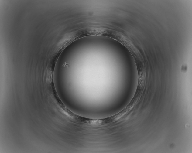 X0000097650474200802291454