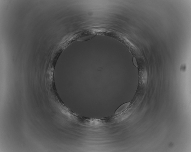 X0000097650475200802291454