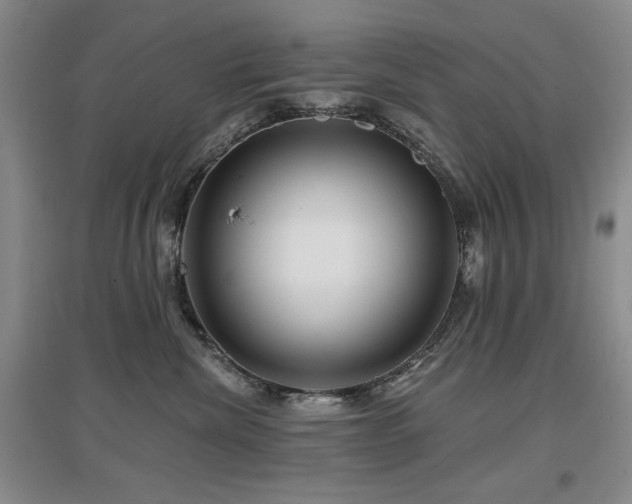 X0000097650476200802291454