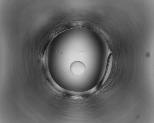 X0000097650477200802291454