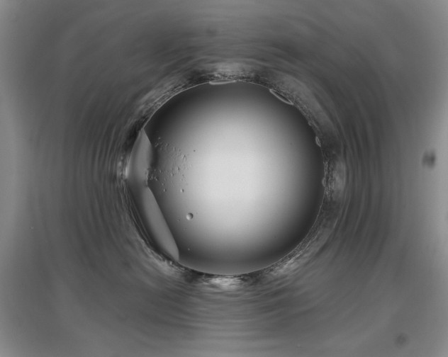 X0000097650478200802291454