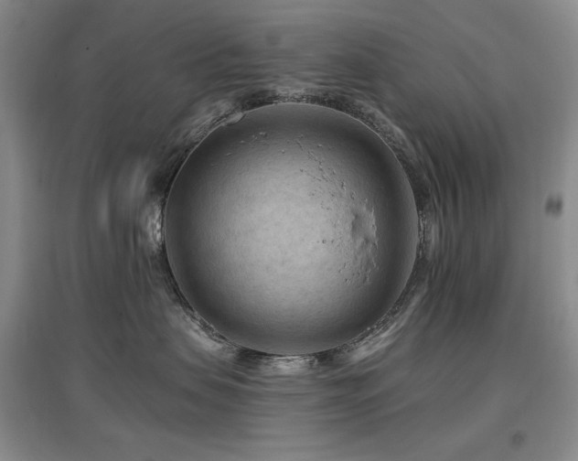 X0000097650479200802291454