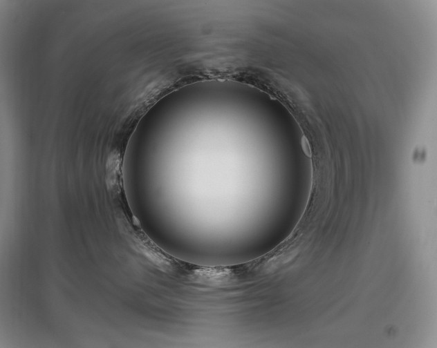 X0000097650480200802291454