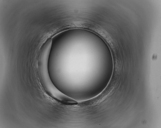 X0000097650481200802291453