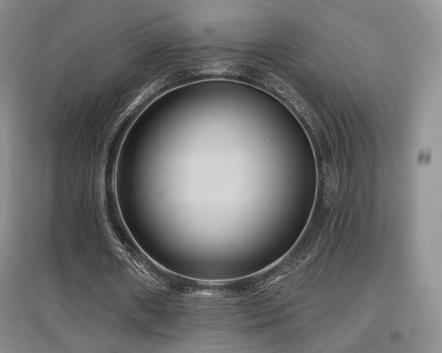 X0000097650482200802291453